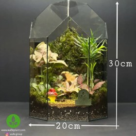 تصویر شیشه تراریوم چندضلعی 