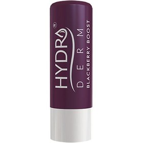 تصویر بالم لب مرطوب کننده گیلاس هیدرودرم Hydroderm Cherry Blossom Lip Balm