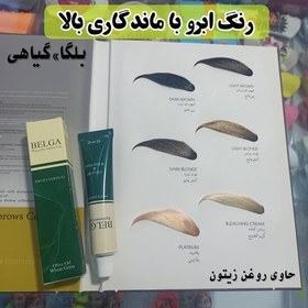 تصویر رنگ ابرو بلگا واریاسیون 