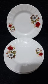 تصویر پیش دستی گلشاد زرین 