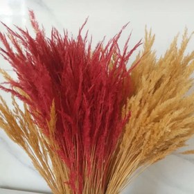 تصویر گل خشک قمیش (دسته حجمی) رنگ طبیعی