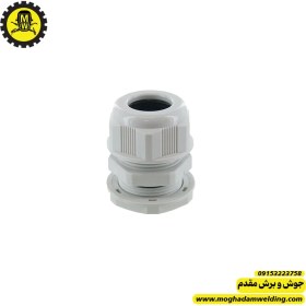 تصویر گلند شماره 11 