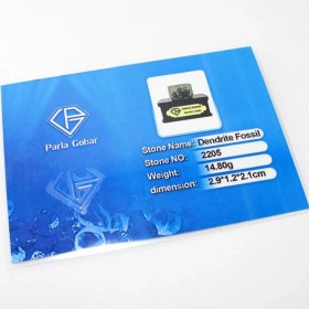 تصویر سنگ شجر فسیلی (دندریتی ) کد 2205 