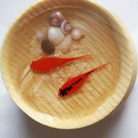تصویر حوض ماهی سه بعدی چوبی (بدون پایه) 