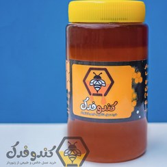 تصویر عسل چند گیاه کوهستان 