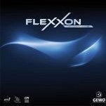 تصویر فلکسون 