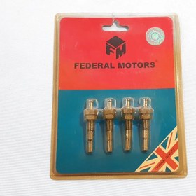 تصویر شاسی لای درب پیکان اصلی FEDERAL MOTORS بسته 4 عددی 