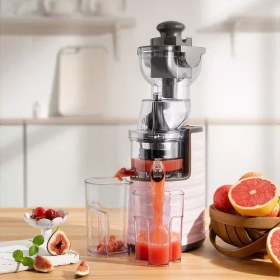 تصویر آبمیوه گیر و عصاره گیر شیائومی BUD BJ-31 Fruit Juicer 