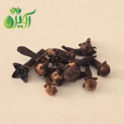 تصویر میخک قلم 