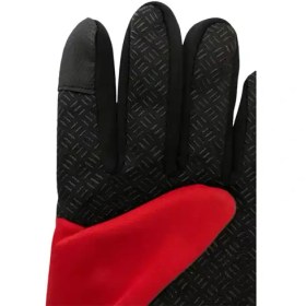 تصویر دستکش طرح نورث فیس 