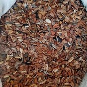 تصویر تخمه قرمز طوطی سانان ۱ کیلوگرم 