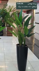 تصویر درختچه پرنده بهشتی مصنوعی 120 سانت 18 برگ 