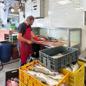 تصویر ماهی سالمون (کیلویی) 