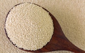 تصویر مایه خمیر (مخمر)100گرمی 