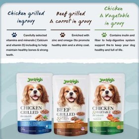 تصویر پوچ سگ جرهای با طعم مرغ گریل شده در سس Jerhigh Pouch Dog Food With Grilled Chicken In Gravy