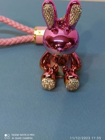 تصویر جاکلیدی خرگوش bunny keys