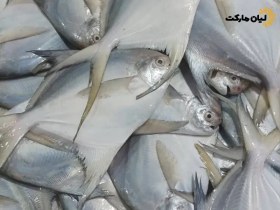 تصویر ماهی حلوا سفید ۵ کیلوگرم 