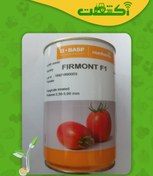 تصویر بذر گوجه فرمونت نانهمز 