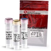 تصویر مستر میکس 2X Taq | مستر میکس تگ Taq 2X Master Mix