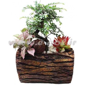 تصویر بن سای نارون 