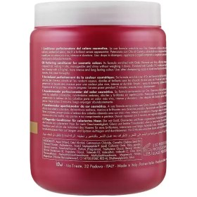 تصویر ماسک مو طلا و الماس آیس کریم مدل Pro-Color Inebrya Pro-Color Color Perfect Conditioner