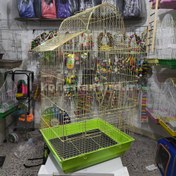 تصویر کد ۱۵۱ پلاس طلایی 