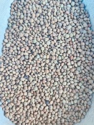 تصویر عدس ریز ۱ کیلوگرم 