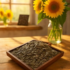 تصویر تخمه افتابگردان عمده بوداده ایرانی 10 کیلویی ارگانیک - تخمه آفتاب گردان - تخمه آفتابگردان - فروش ویژه 