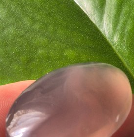 تصویر عقیق یاسی سایز مدال Agate yasi
