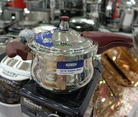 تصویر زودپز گلدار نیولند NEWLAND NL-2452RD 4L 