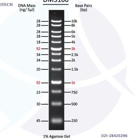 تصویر لدر 1KB DNA، محصول اسمو بایو، 500μl، کت نامبر DM3100 