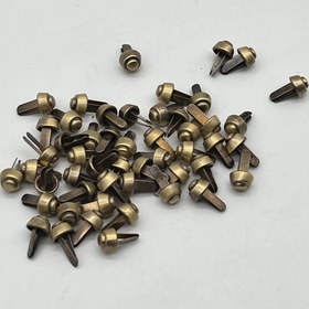 تصویر استوک زردقلم سایز 1 