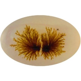 تصویر سنگ شجر پارلا گوهر کد 5133 