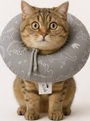 تصویر گردنبند الیزابت دوناتی سگ و گربه سایز متوسط 