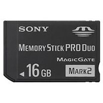 Sony memory 2025 stick pro hg