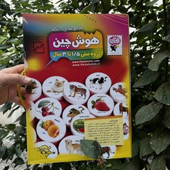 تصویر اسباب بازی هوش چین مجموعه یک تکه مناسب تقویت هوش و افزایش واژگان کودک +۱۵ ماه 