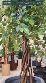 تصویر درختچه مصنوعی بنجامین 160سانت برگ سبز 