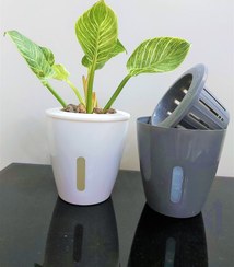 تصویر گلدان هیدروپونیک راما پلاست سایز ۹ رنگ طوسی 