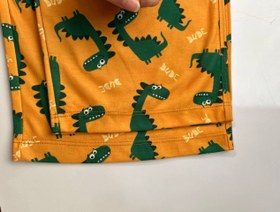 تصویر شلوار دایناسوری 