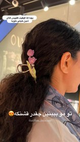 تصویر کلیپس طرح گل لاله Clips