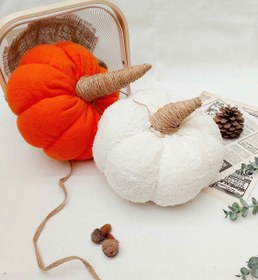 تصویر کدو حلوایی تدی - کدو تدی 