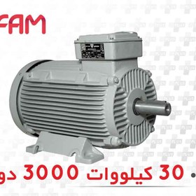 تصویر الکتروموتور سه فاز 30 کیلووات 3000 دور فریم چدنی موتوژن three-phase electric motor 30KW 3000 RPM with Iron frame Motogen