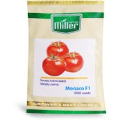 تصویر موناکو پربارترین بذر گوجه فرنگی تیپ گرد صادراتی مشابه و جایگزین گوجه 8320 Miller Tomato Hybrid Manaco F1 Seed Num 5000 Seeds