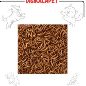 تصویر میل ورم خشک - ده کیلو 