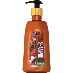 تصویر شامپو عصاره گانودرما دکتر بیز مخصوص موهای چرب Biz shampoo Ganooderma for oily hair