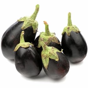 تصویر بادمجان لامپی 