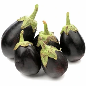 تصویر فروشگاه پالامی