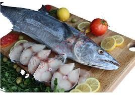 تصویر ماهی شیر 