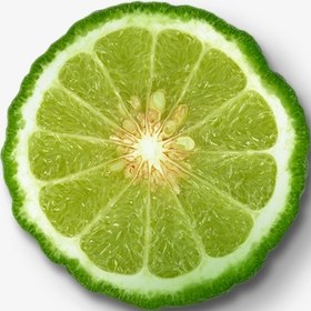 تصویر Bergamot-Essential Oil Spray 