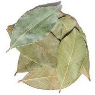 تصویر برگ به 